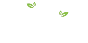 Anandproperties